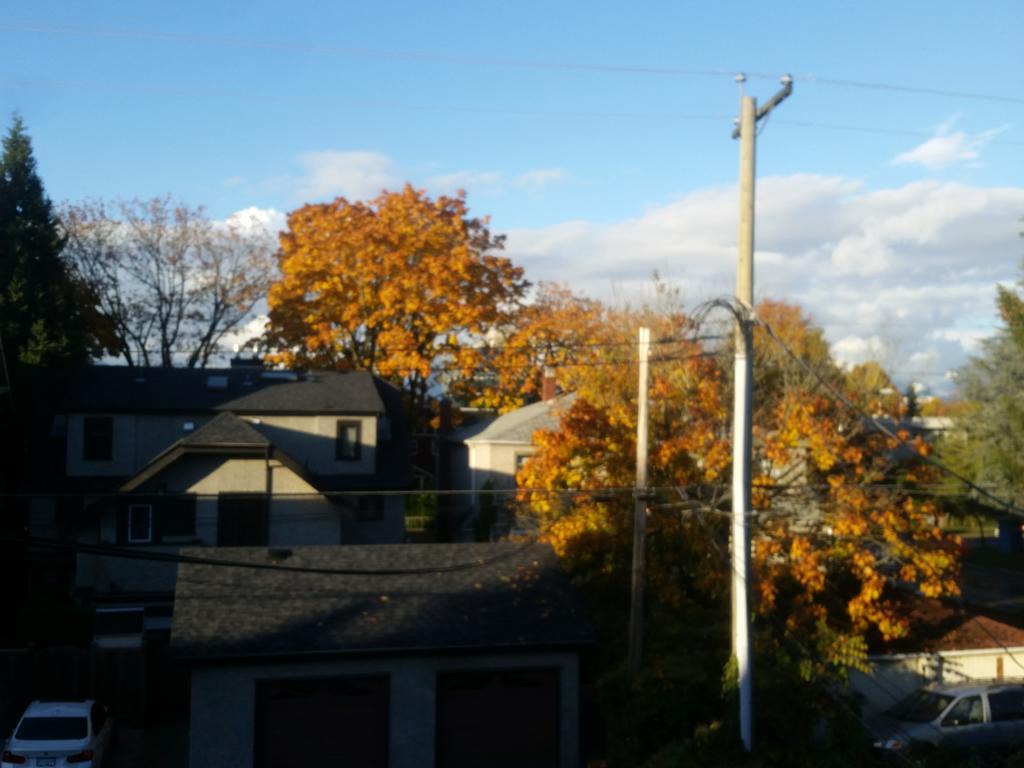 Kitsilano Heritage Ξενοδοχείο Βανκούβερ Εξωτερικό φωτογραφία